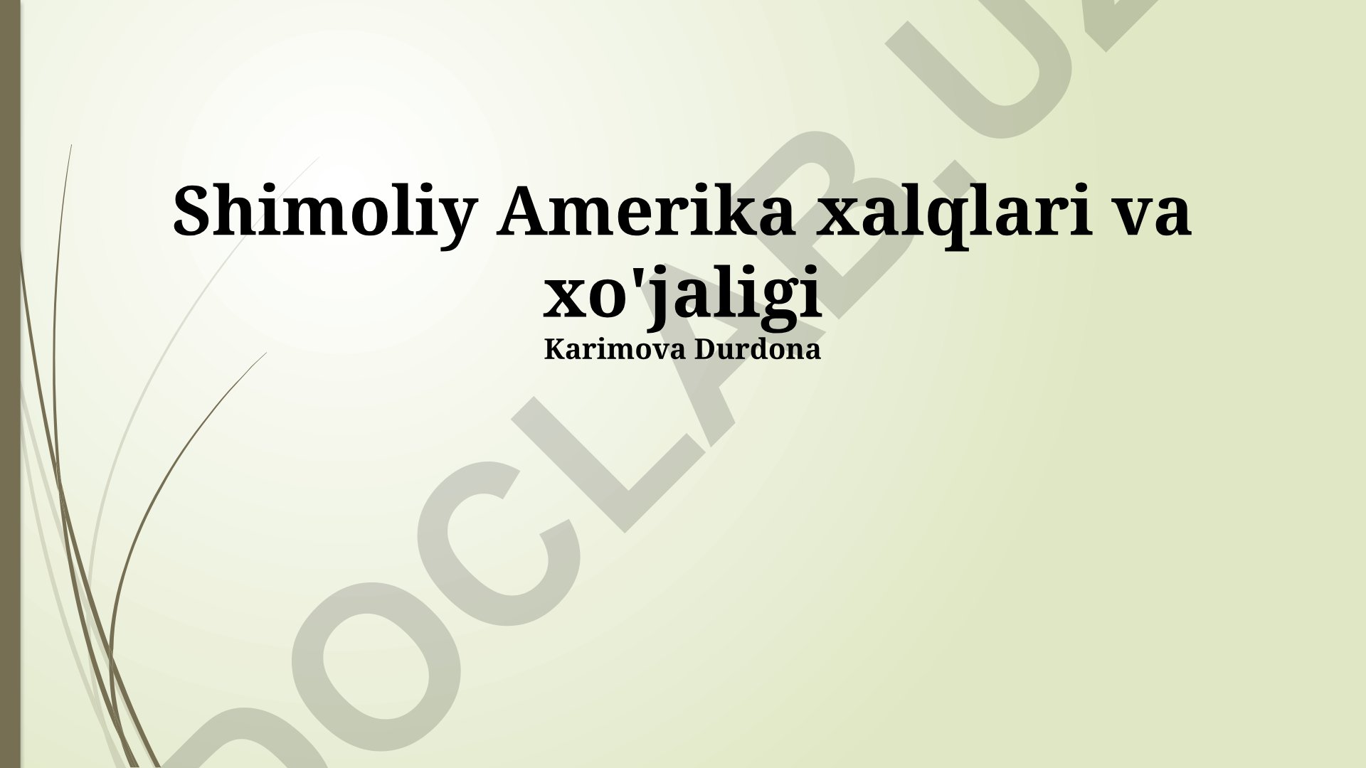 Shimoliy Amerika xalqlari va xo'jaligi