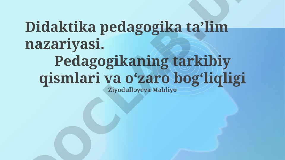 Didaktika va pedagogika: asosiy tushunchalar va o'zaro bog'liqlik