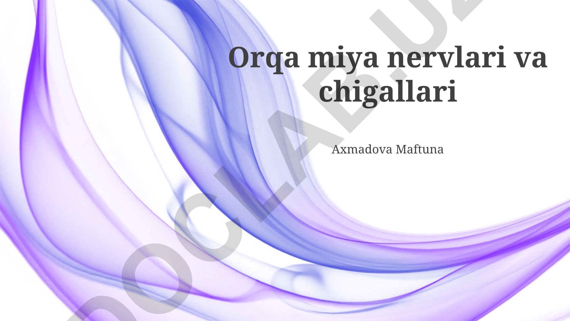 Orqa miya nervlari, chigallari va nerv plexuslarining tuzilishi
