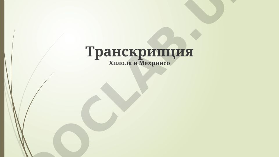 Транскрипция: понятие, виды и принципы записи