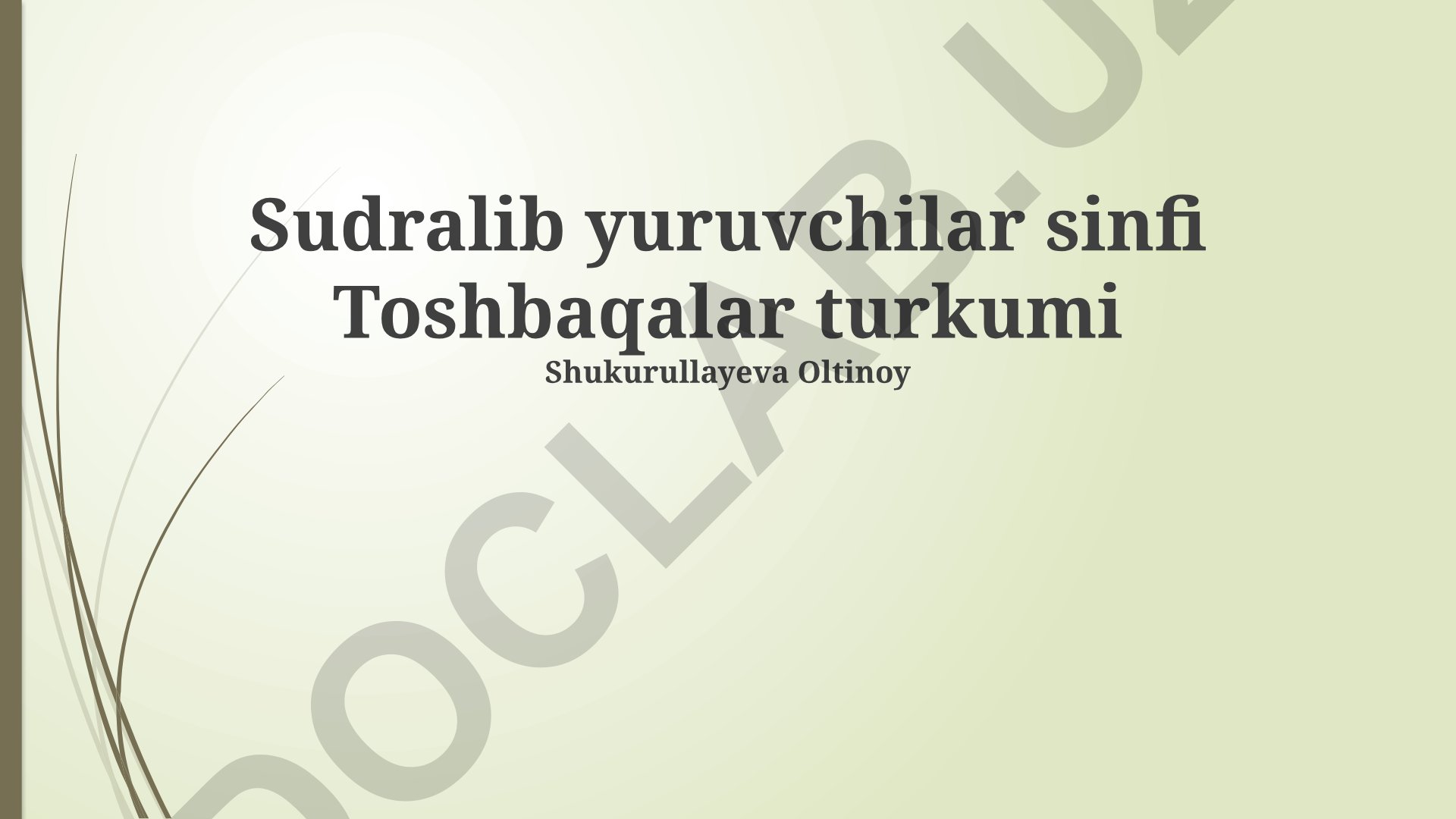 Toshbaqalarning hayot sikli, harakati va anatomiyasi