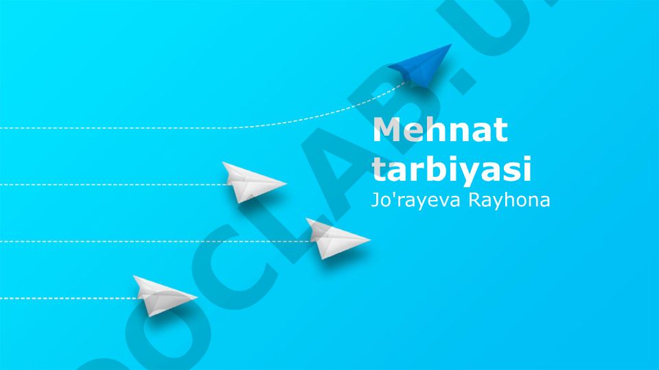 Mehnat tarbiyasi va mehnat huquqlari asoslari