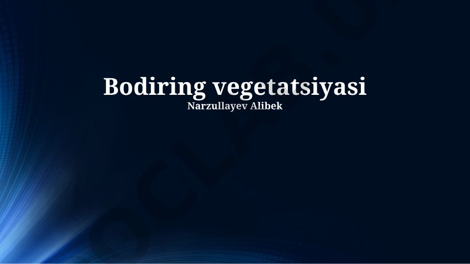 Bodiring o'simligining kelib chiqishi, navlari va yetishtirish texnologiyasi