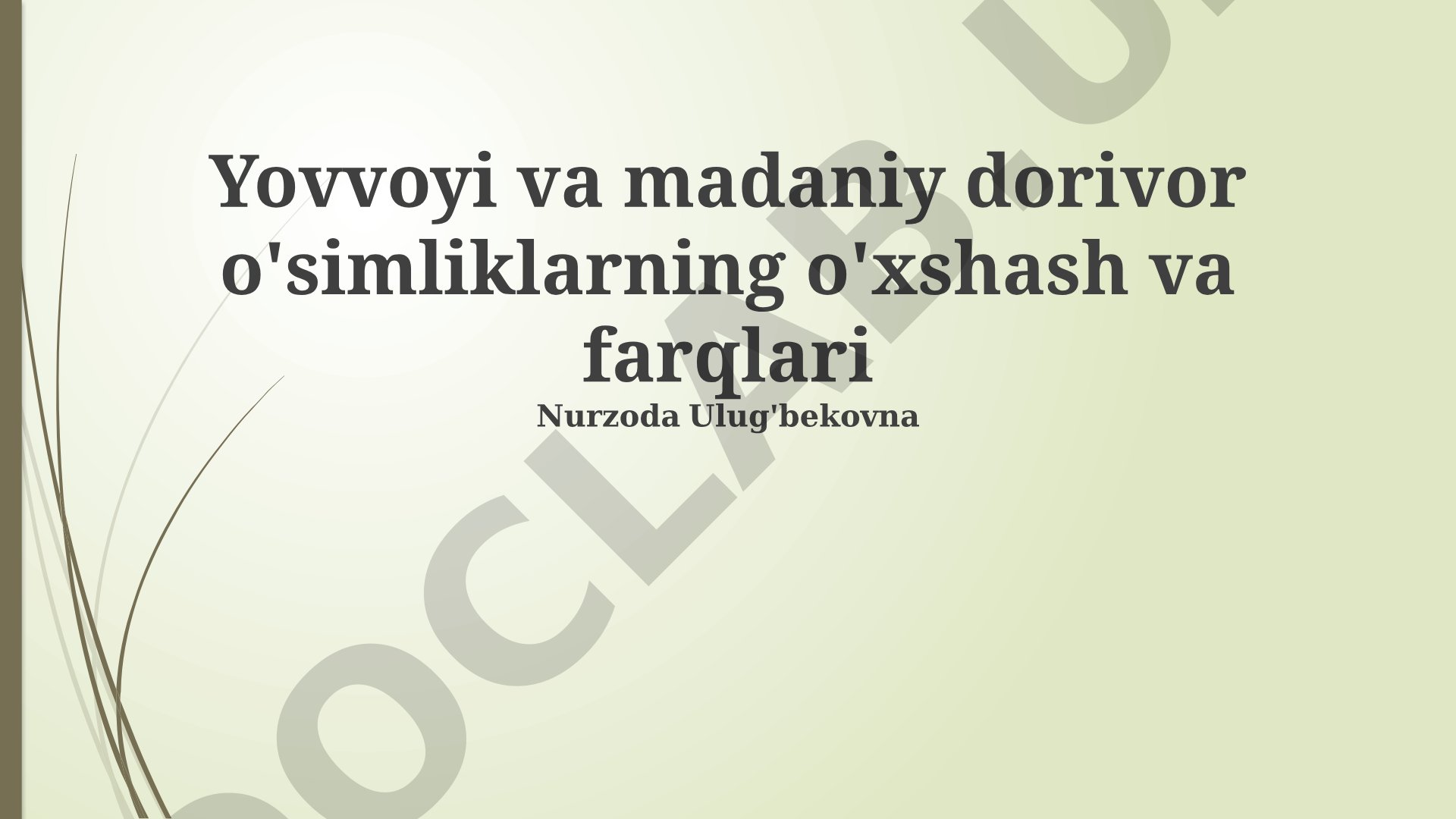 Yovvoyi va madaniy dorivor o'simliklarning o'xshash va farqlari
