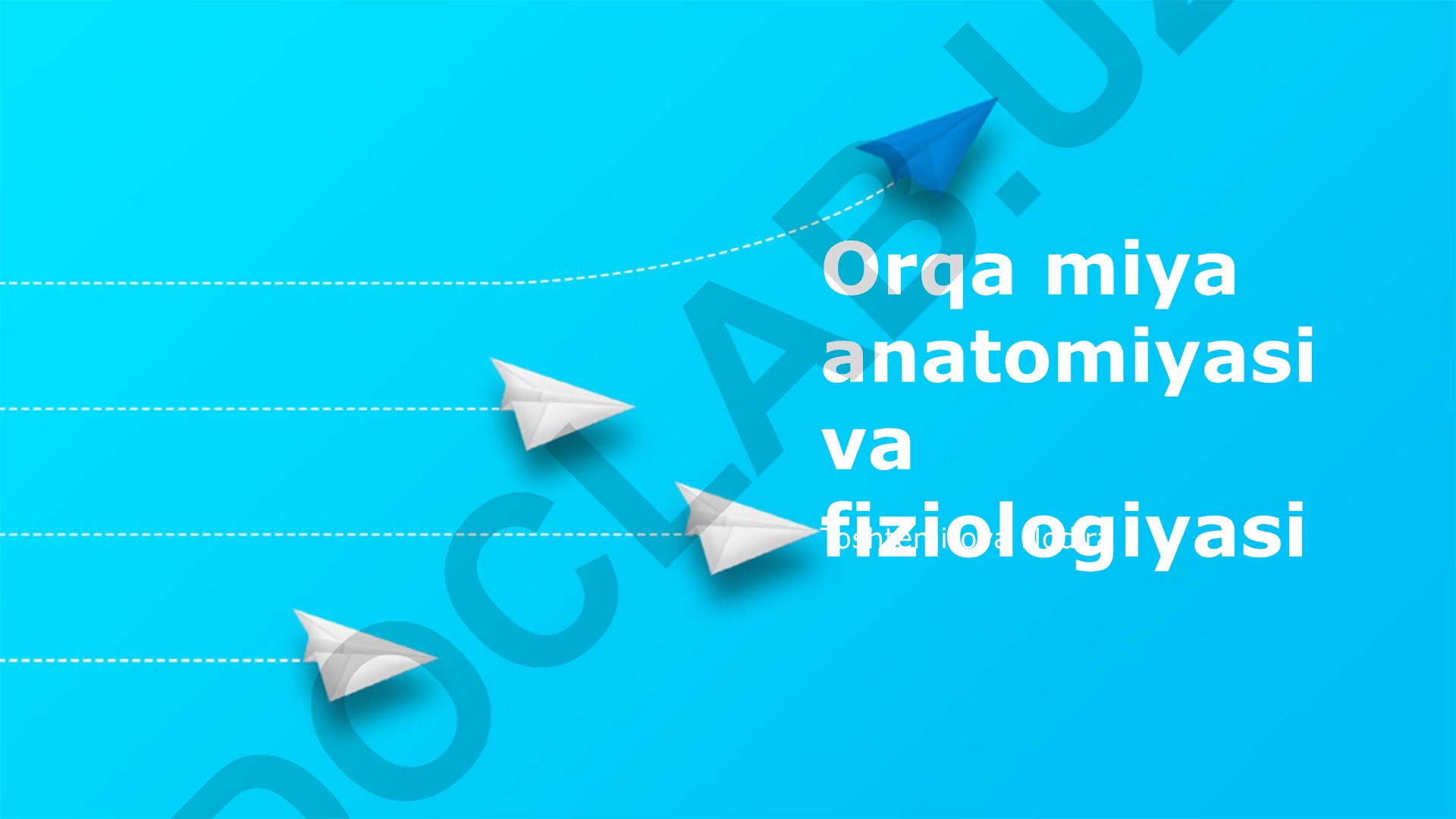 Orqa miya anatomiyasi, fiziologiyasi va tekshiruvi usullari
