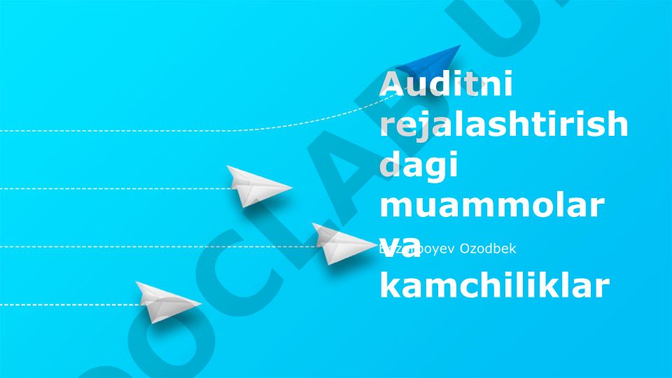 Auditni rejalashtirishdagi muammolar va kamchiliklar