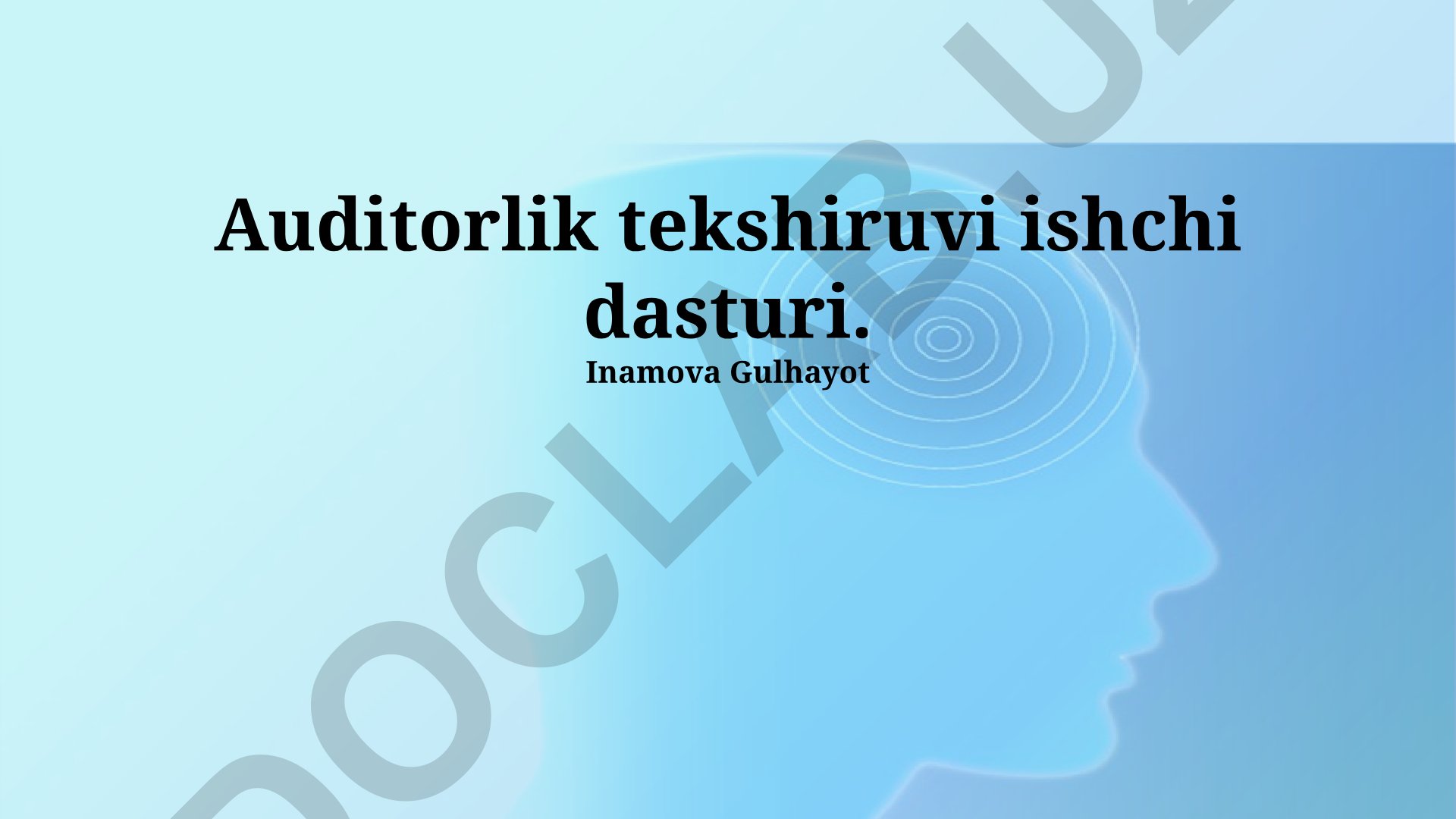 Auditorlik tekshiruvi ishchi dasturi