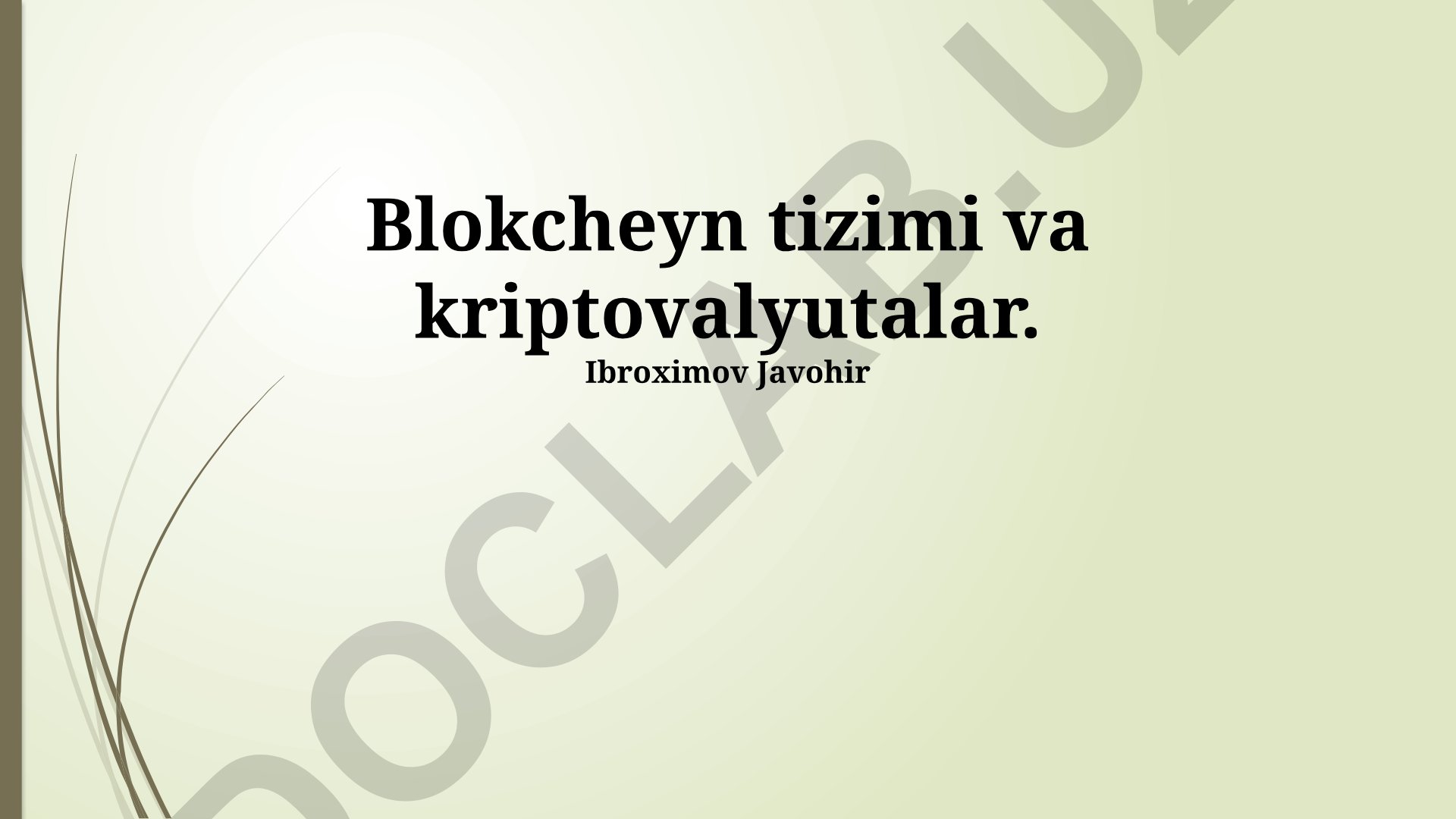 Blokcheyn tizimi va kriptovalyutalar