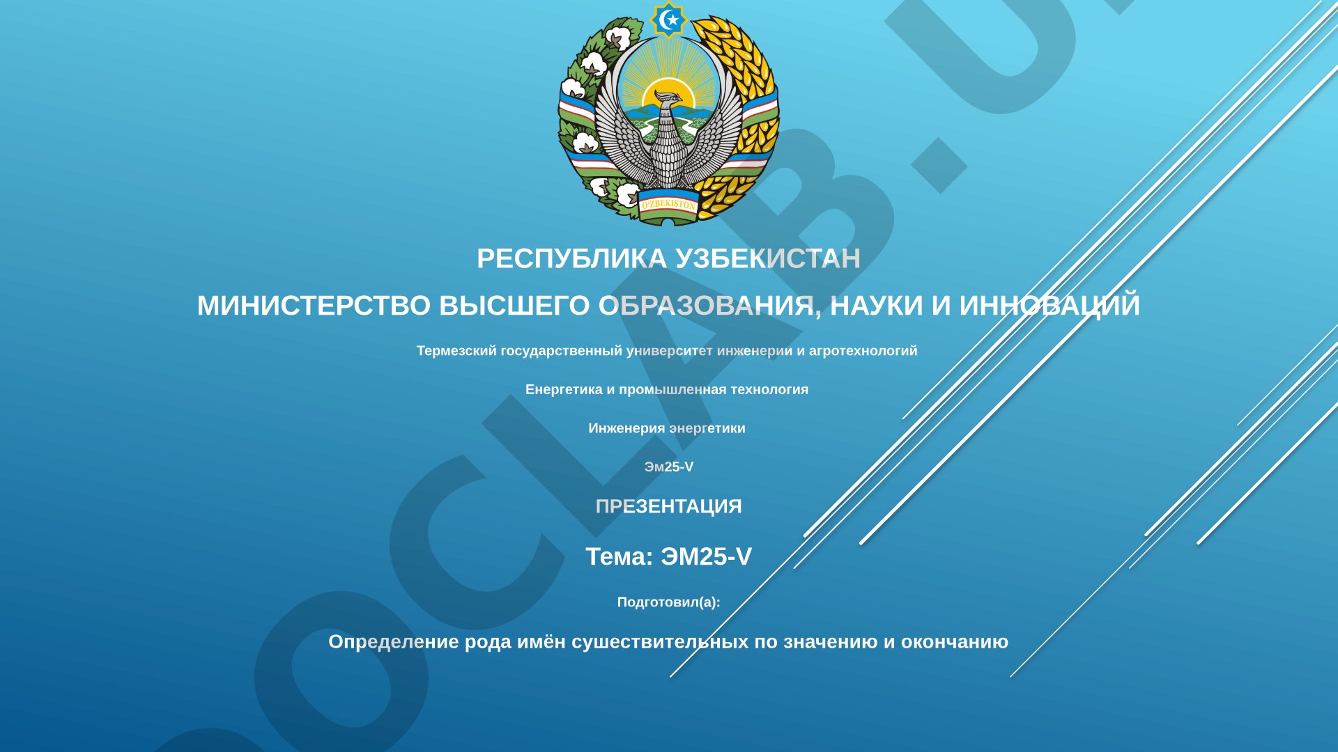 ЭМ25-V: модернизированный электропоезд для пригородных перевозок