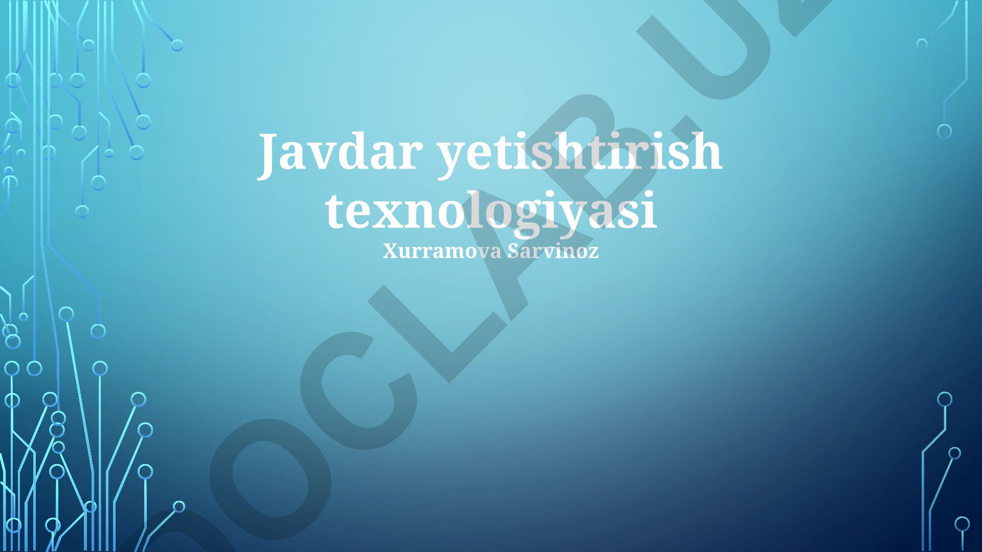 Javdar yetishtirish texnologiyasi