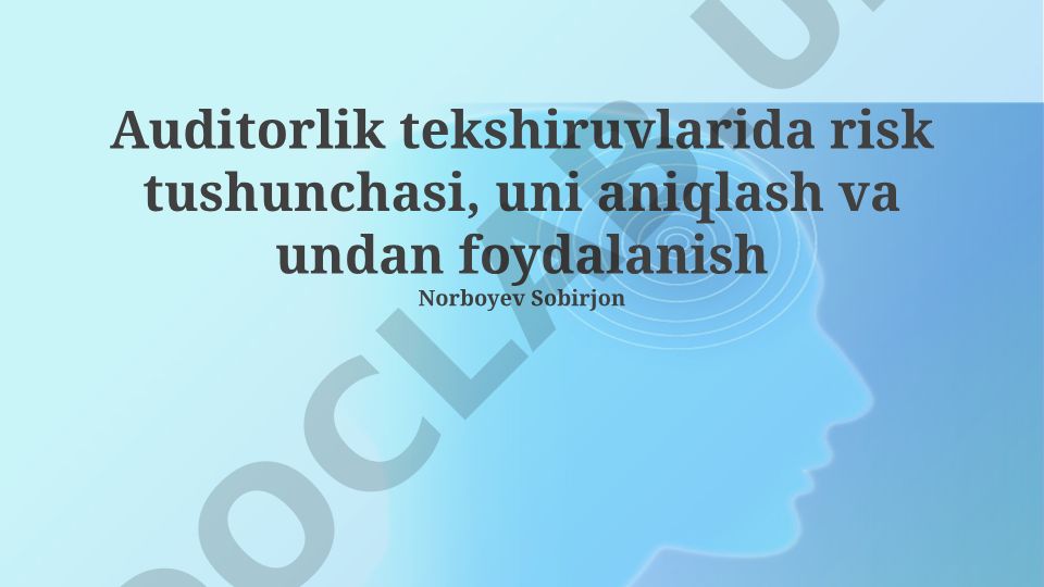 Auditorlik tekshiruvlarida risk tushunchasi va uni boshqarish