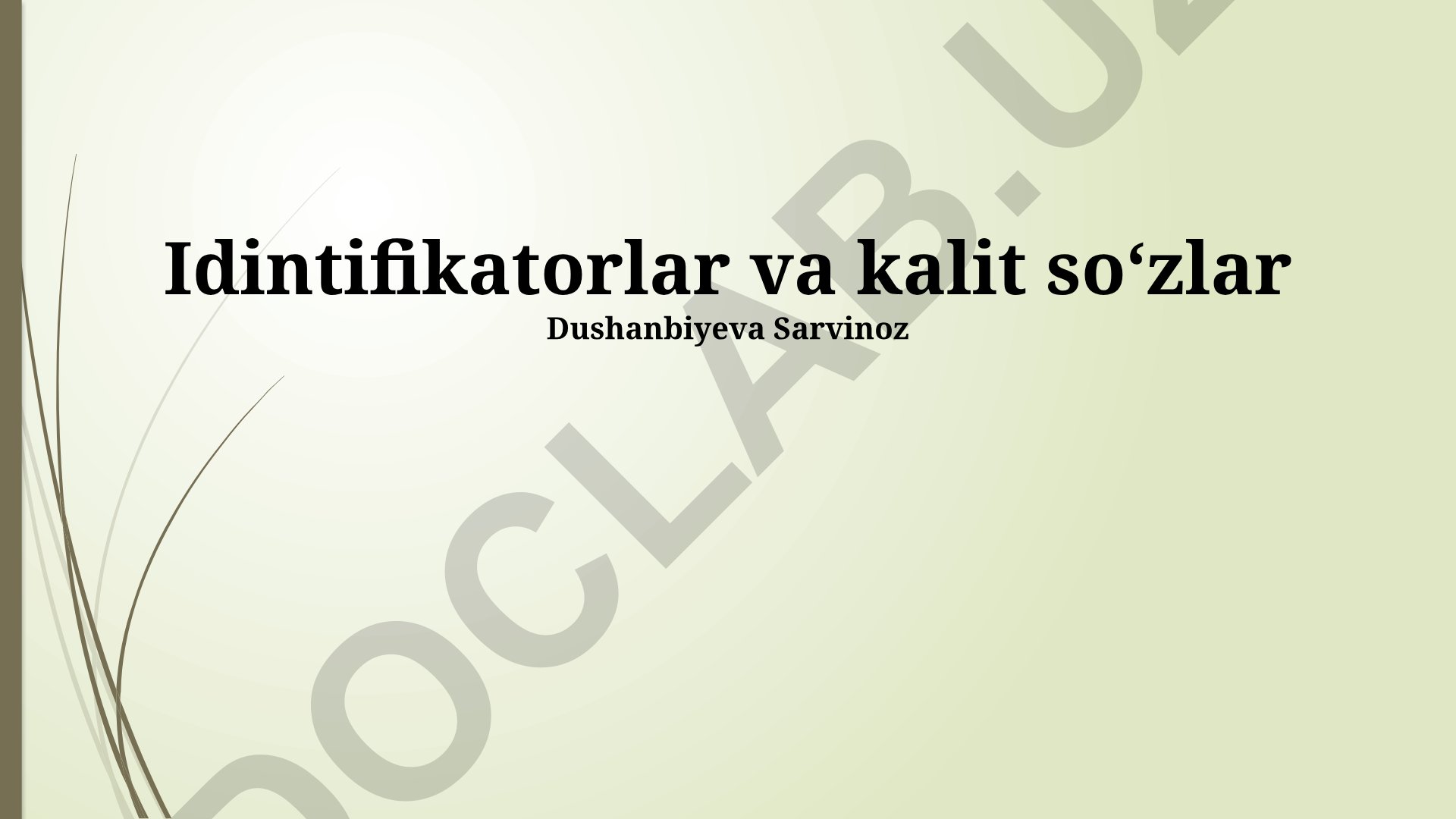 Identifikatorlar va kalit so'zlar