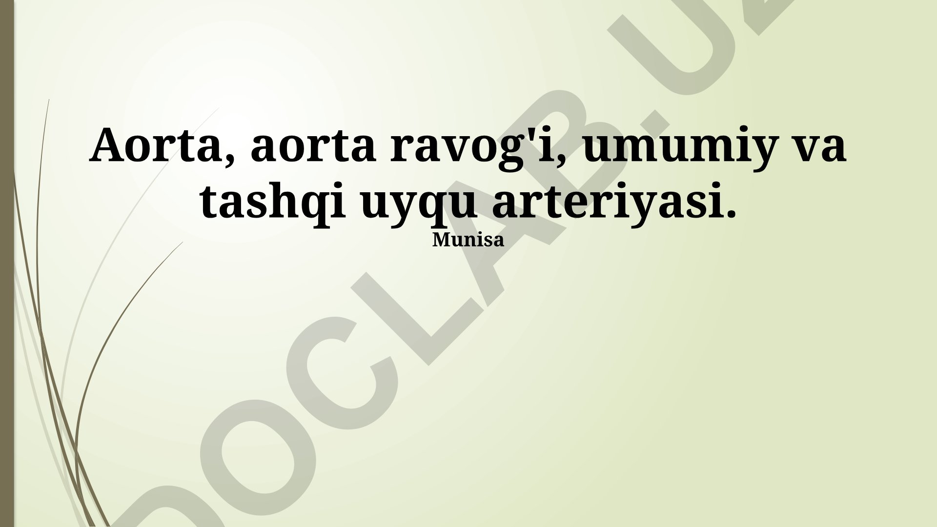 Aorta va umumiy uyqu arteriyasining tarmoqlari