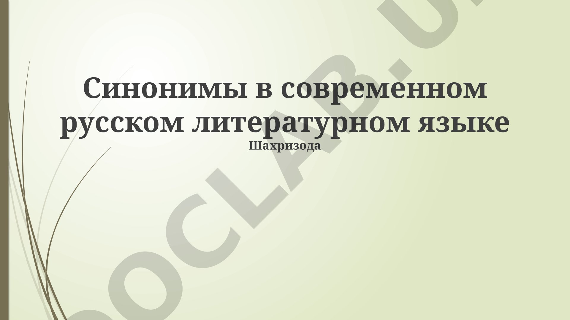 Синонимы в современном русском литературном языке