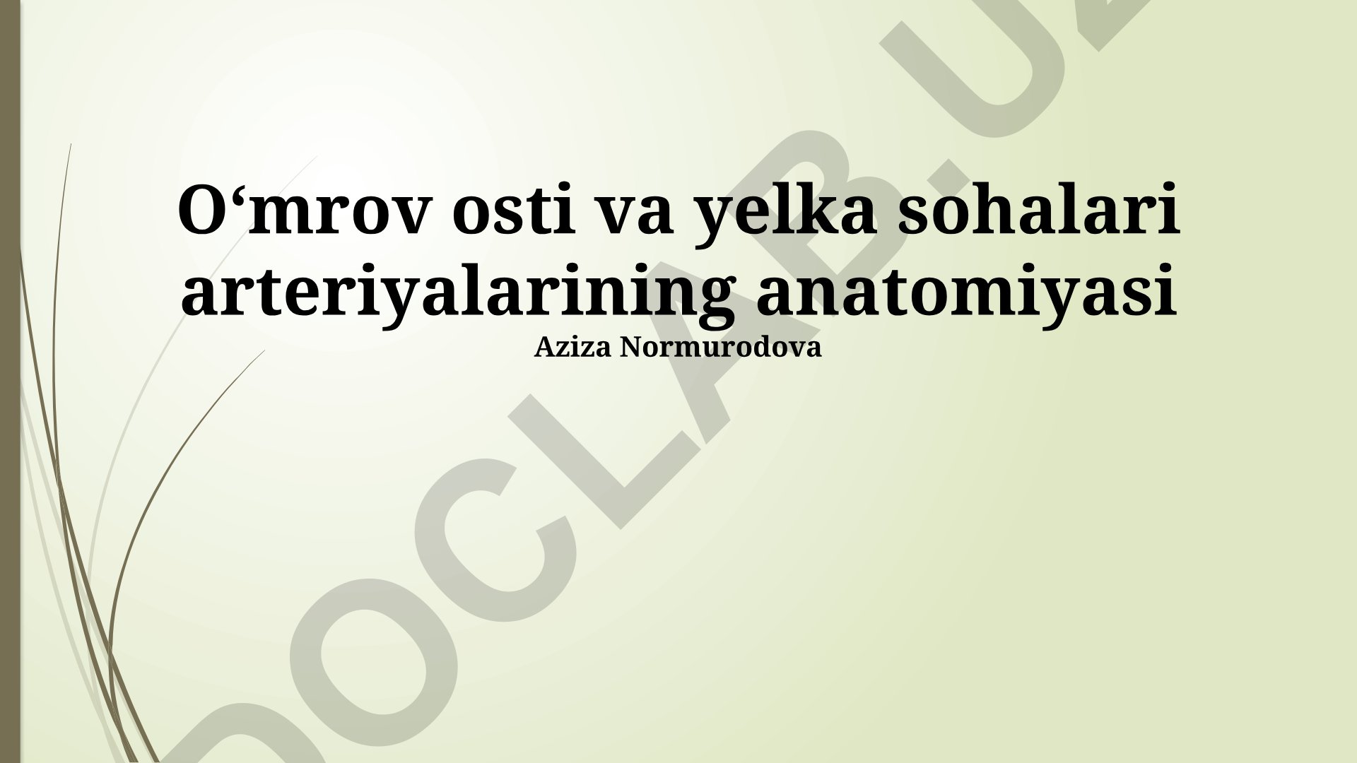 Oʻmrov osti va yelka sohalari arteriyalarining anatomiyasi