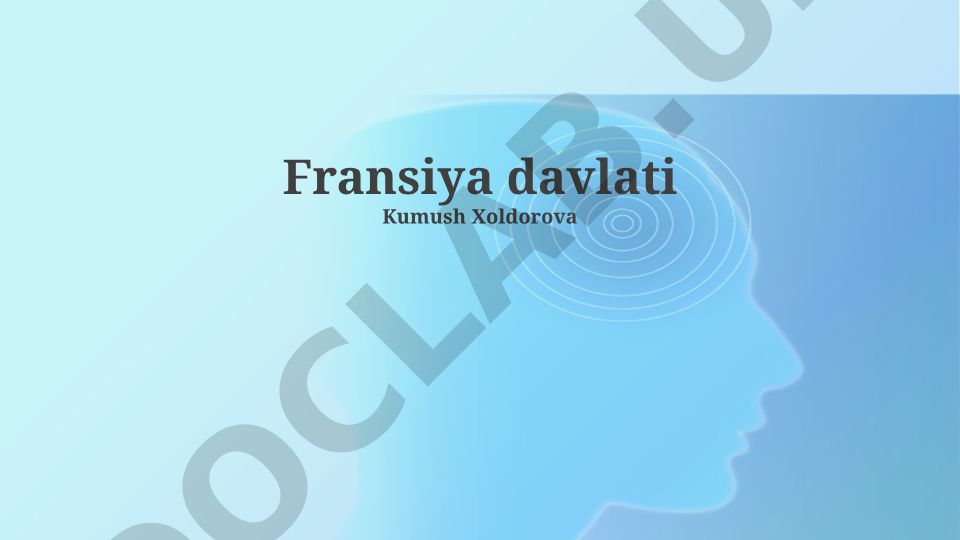 Fransiyaning geografik o'rni va relyefi