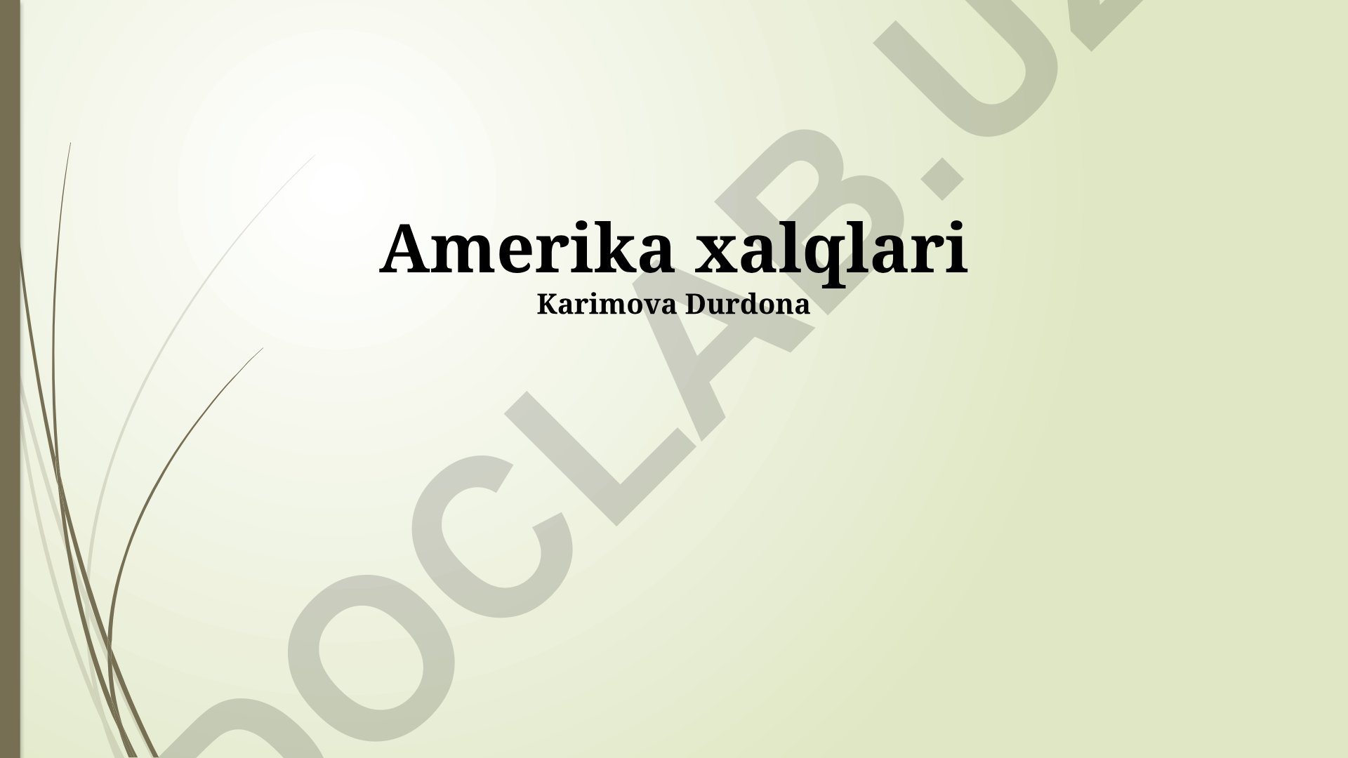 Amerika xalqlarining etnik va madaniy xilma-xilligi
