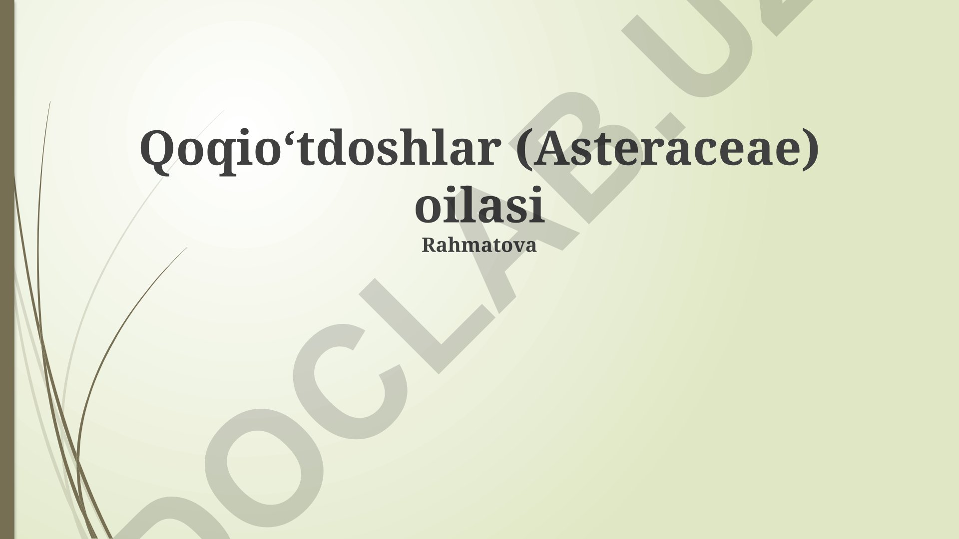 Asteraceae oilasining turlari, xususiyatlari va iqtisodiy ahamiyati