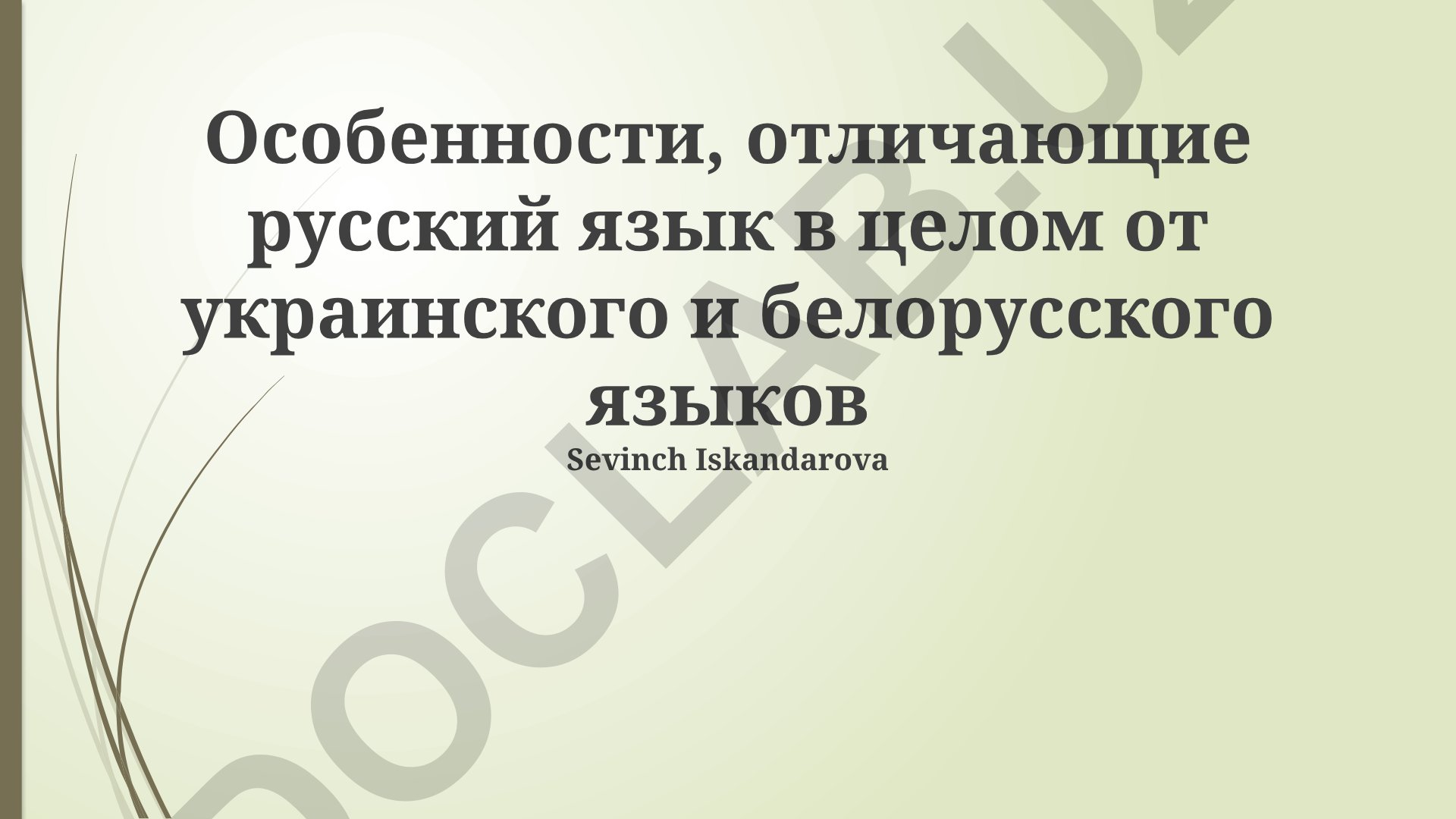 Особенности русского языка в сравнении с украинским и белорусским