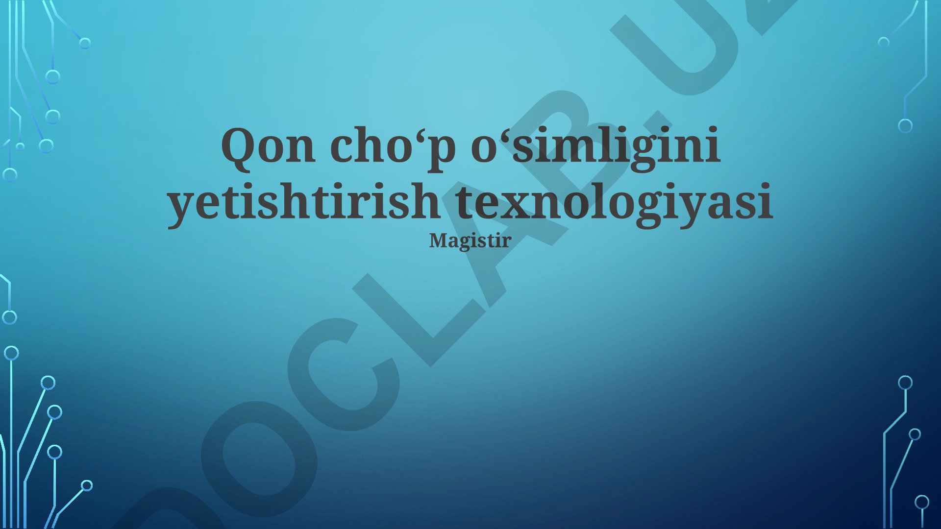 Qon choʻp oʻsimligini yetishtirish texnologiyasi