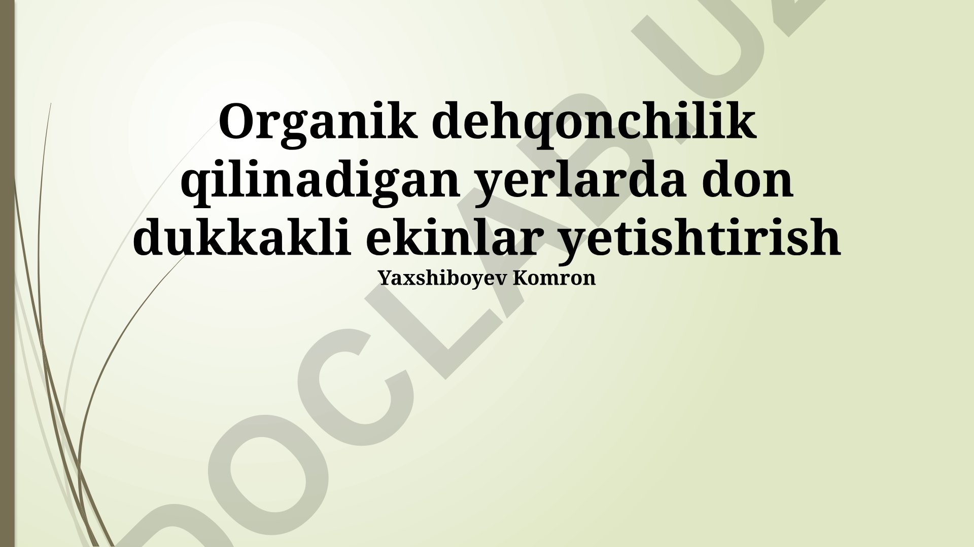 Organik dehqonchilikda dukkakli don ekinlarini yetishtirish