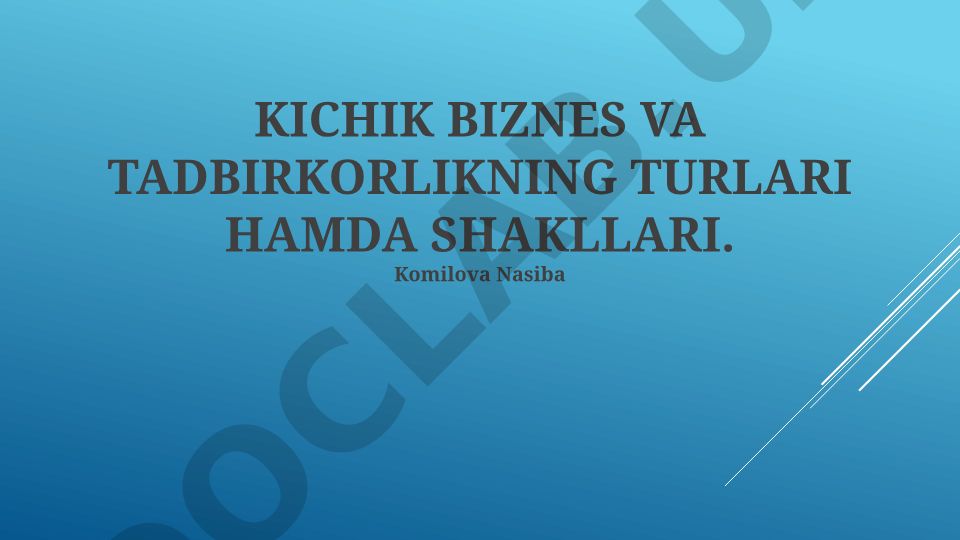 Kichik biznes va tadbirkorlikning turlari hamda shakllari