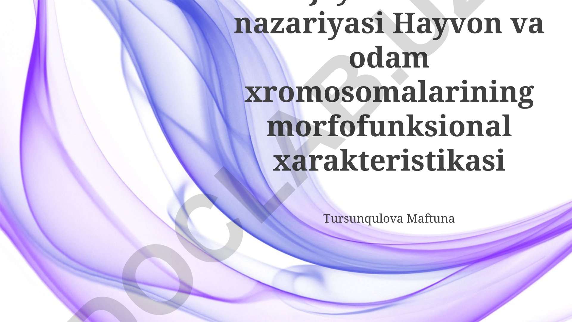 Hayvon va odam xromosomalarining morfofunksional xarakteristikasi