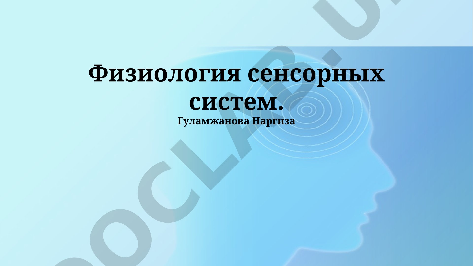 Физиология сенсорных систем