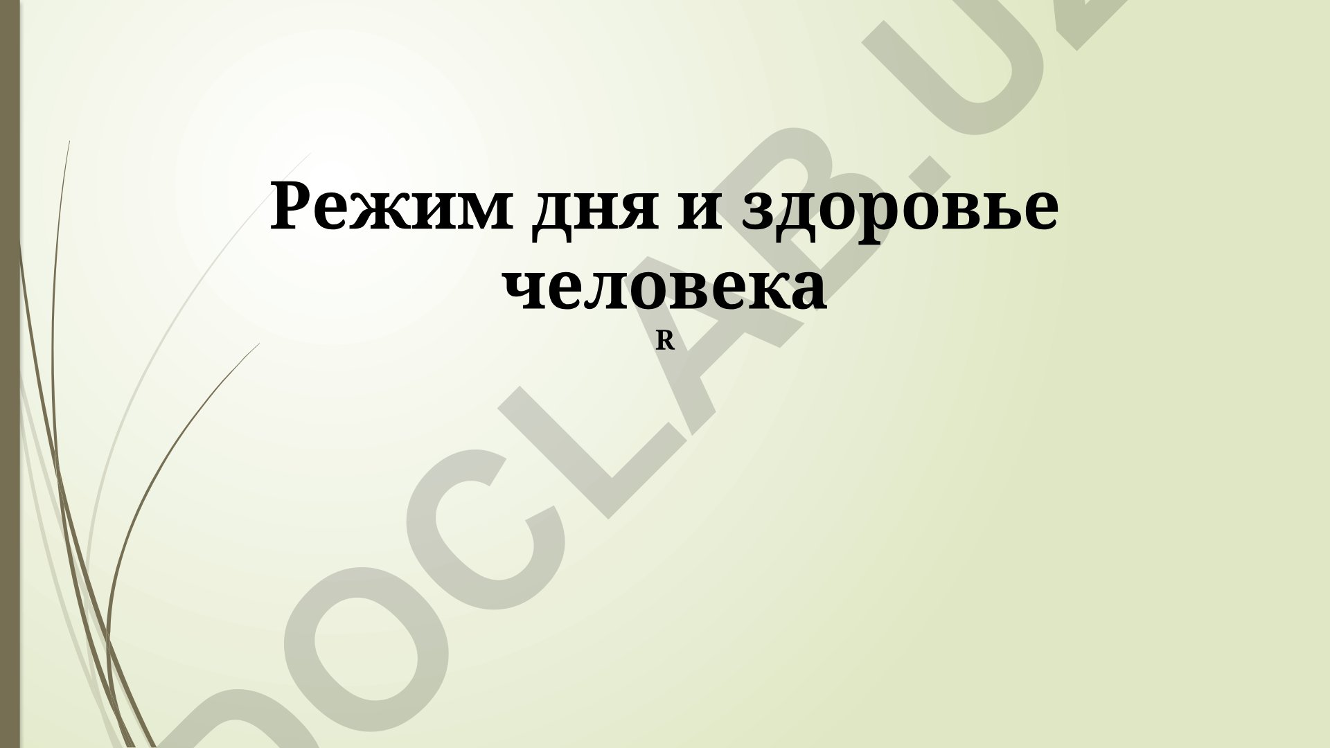 Режим дня и здоровье человека
