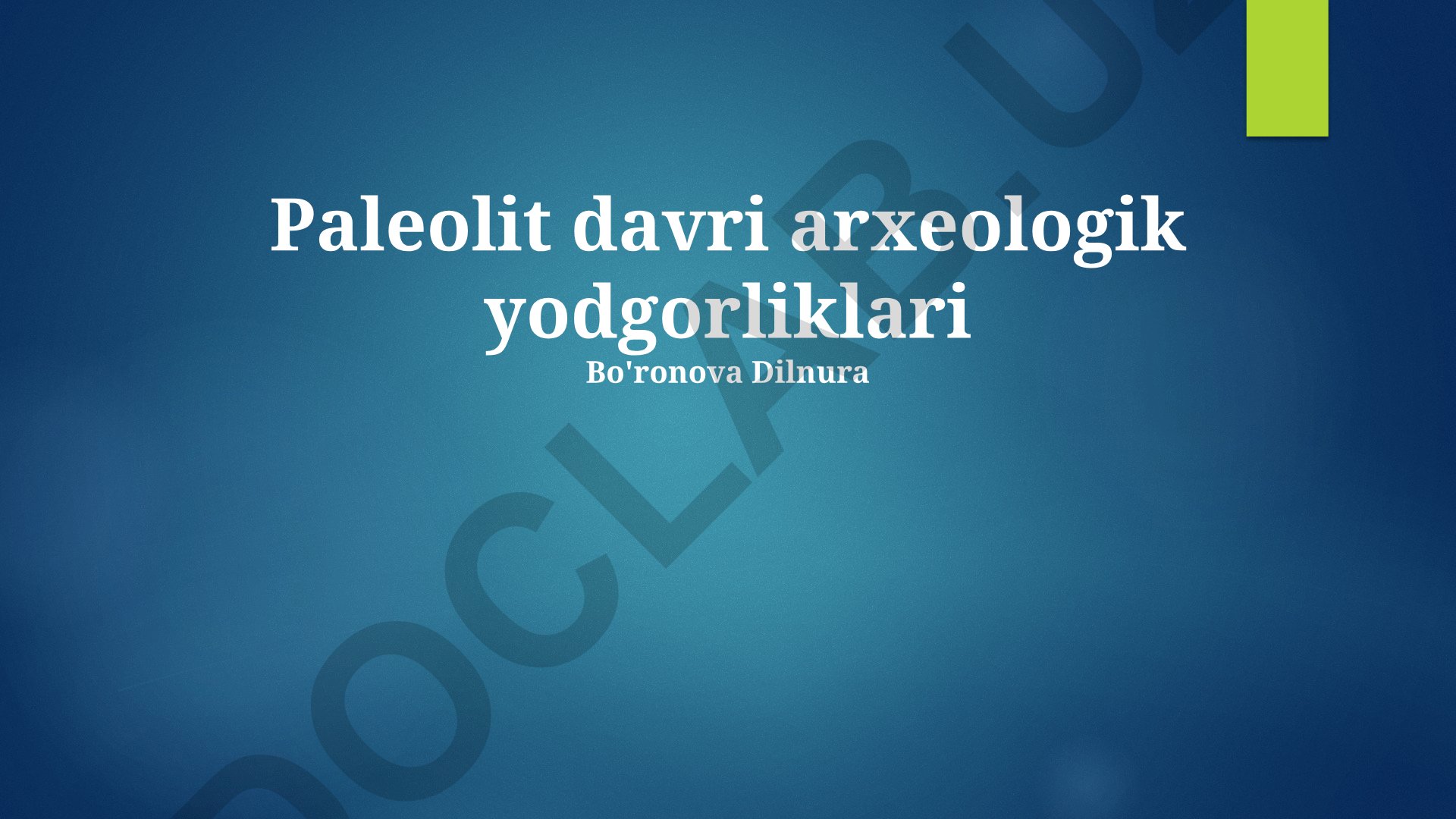 Paleolit davri arxeologik yodgorliklari