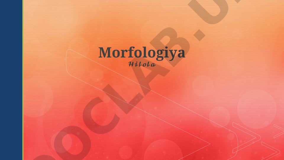 Morfologiya asoslari, so'z yasalishi va o'zgarishi