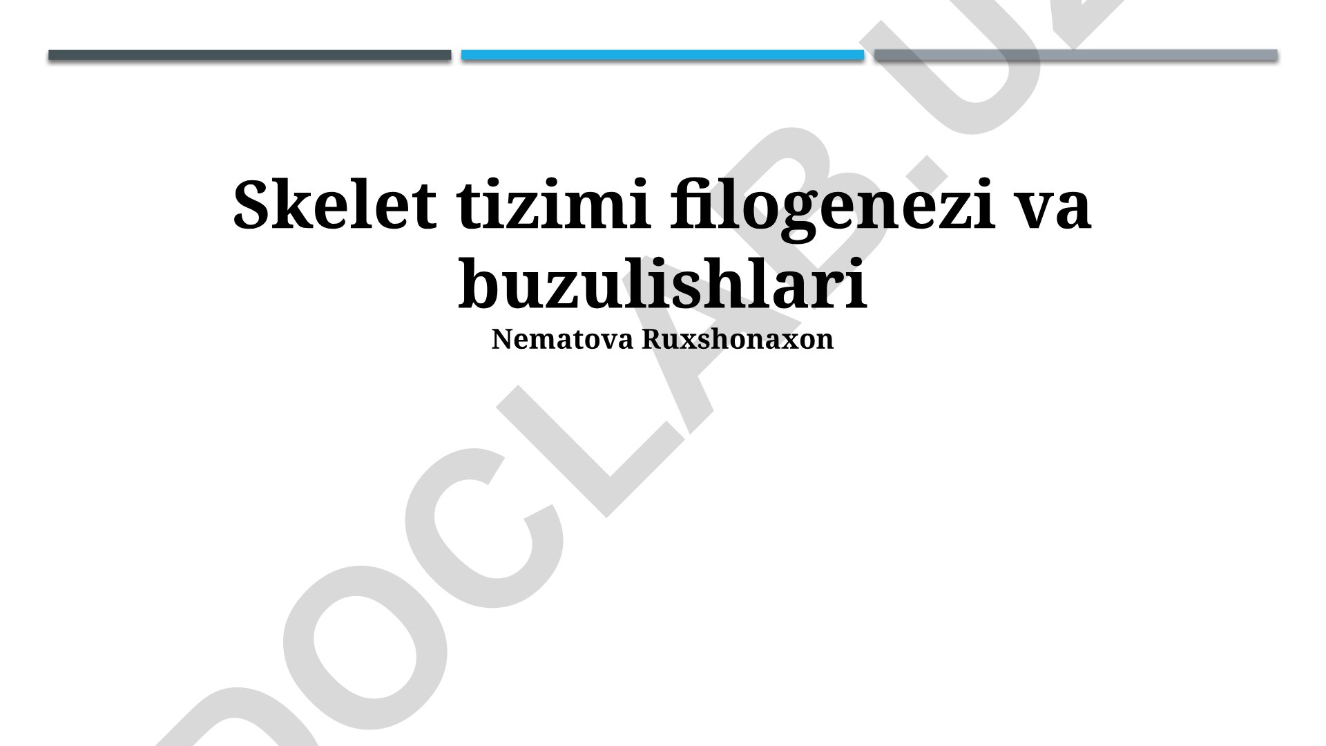Skelet tizimi filogenezi va buzulishlari
