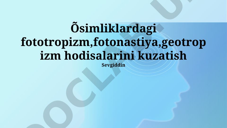O'simliklarda fototropizm, fotonastiya va geotropizm hodisalarini kuzatish