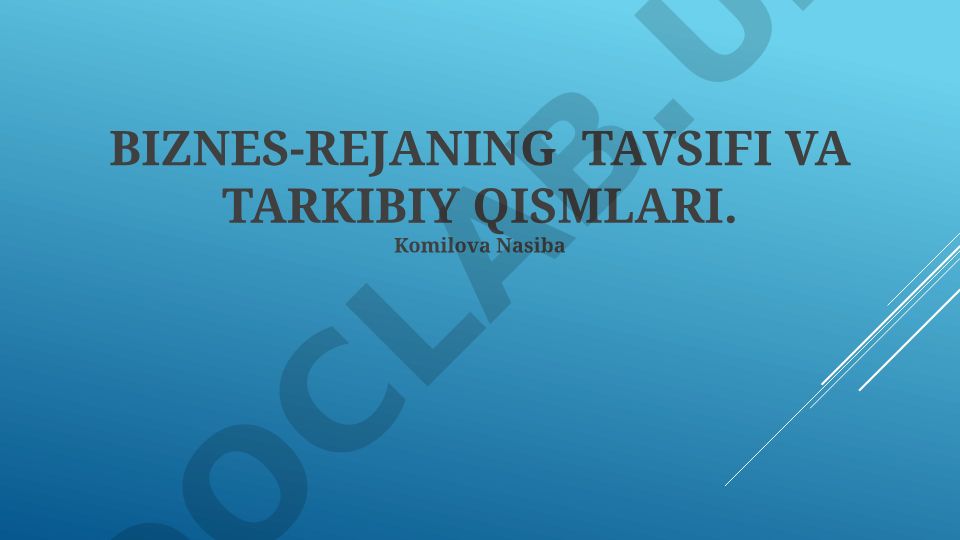 Biznes-rejaning tavsifi va tarkibiy qismlari