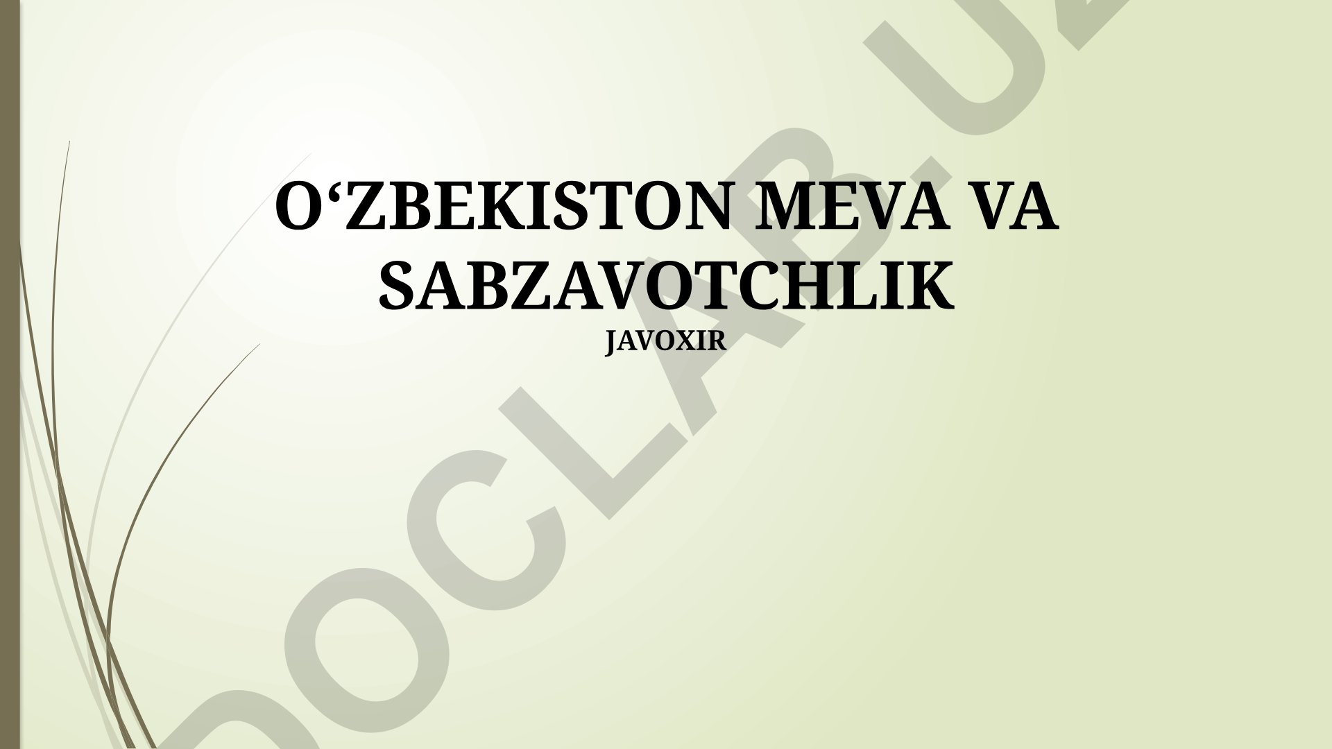 O'zbekiston meva-sabzavot yetishtirish texnologiyalari va eksport salohiyati