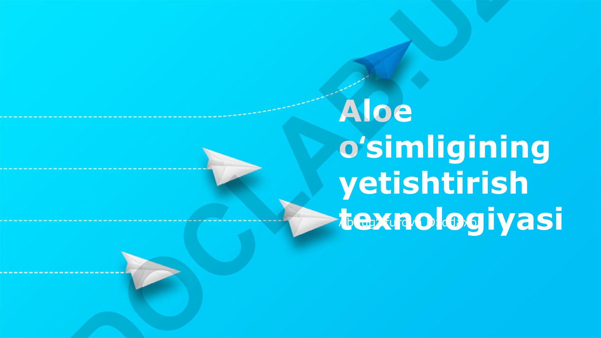 Aloe o'simligining yetishtirish texnologiyasi