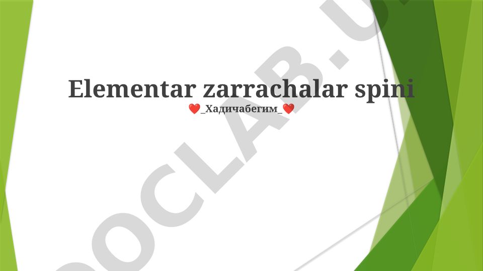 Elementar zarrachalar spini