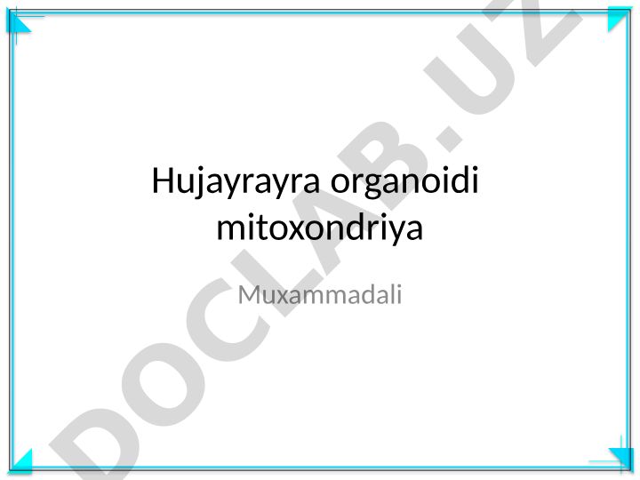 Hujayra organoidi va mitoxondriya tuzilishi
