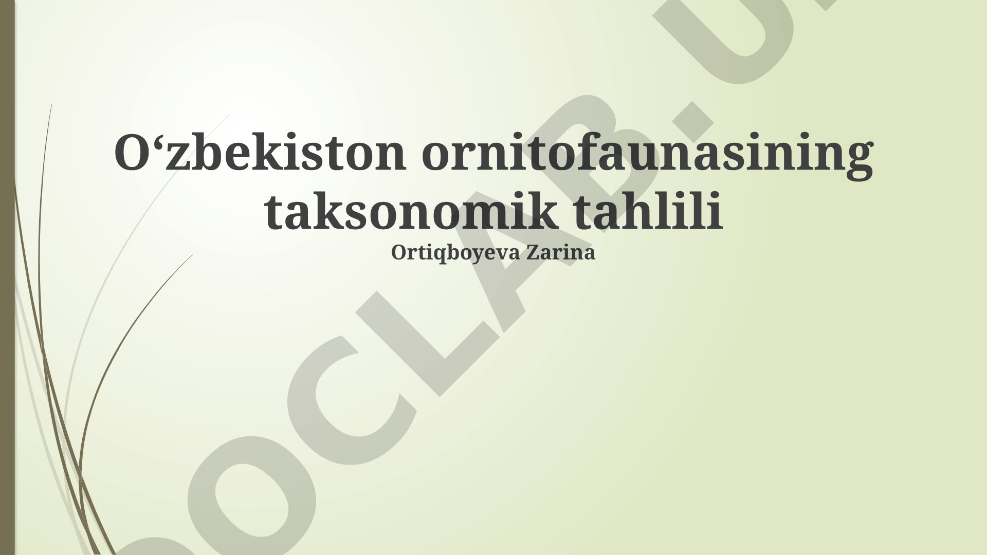 O'zbekiston ornitofaunasining taksonomik tahlili