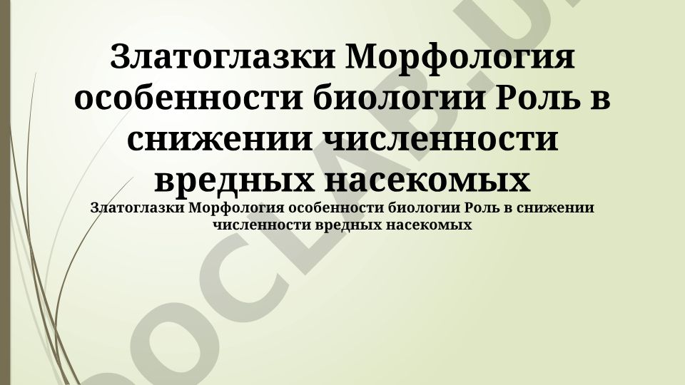 Златоглазки: морфология, биологические особенности и роль в снижении численности вредных насекомых