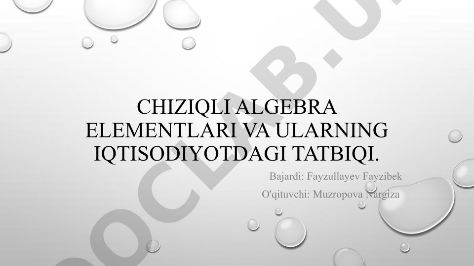 Chiziqli algebra elementlari va ularning iqtisodiyotdagi tatbiqi
