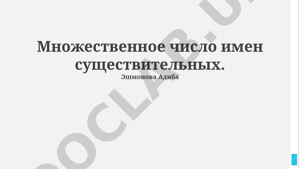 Множественное число имен существительных в русском языке