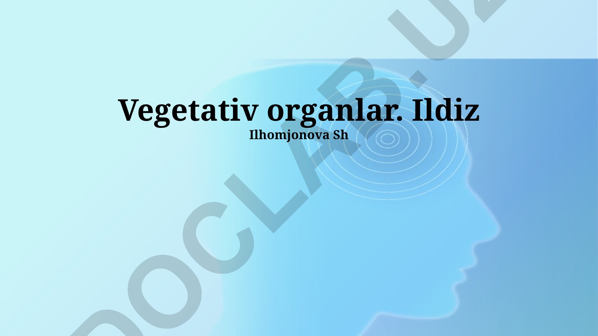 O'simliklarning vegetativ organlari: ildiz tizimi, turlari va fiziologik jarayonlar
