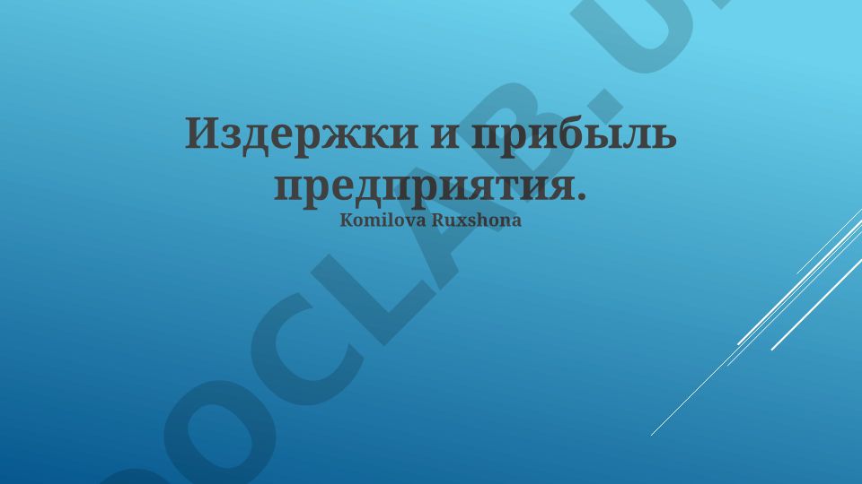Издержки и прибыль предприятия