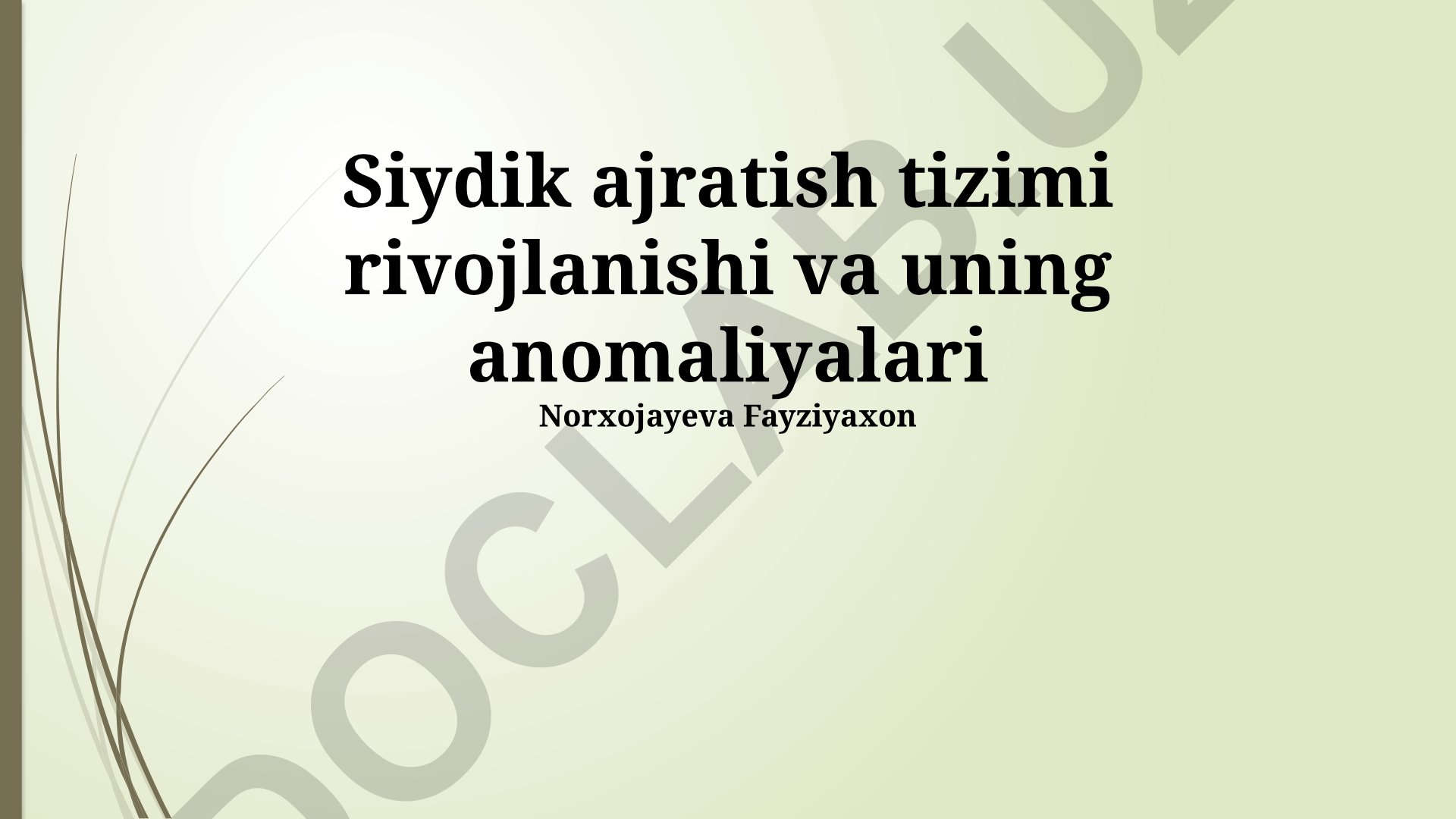 Siydik ajratish tizimi rivojlanishi va uning anomaliyalari