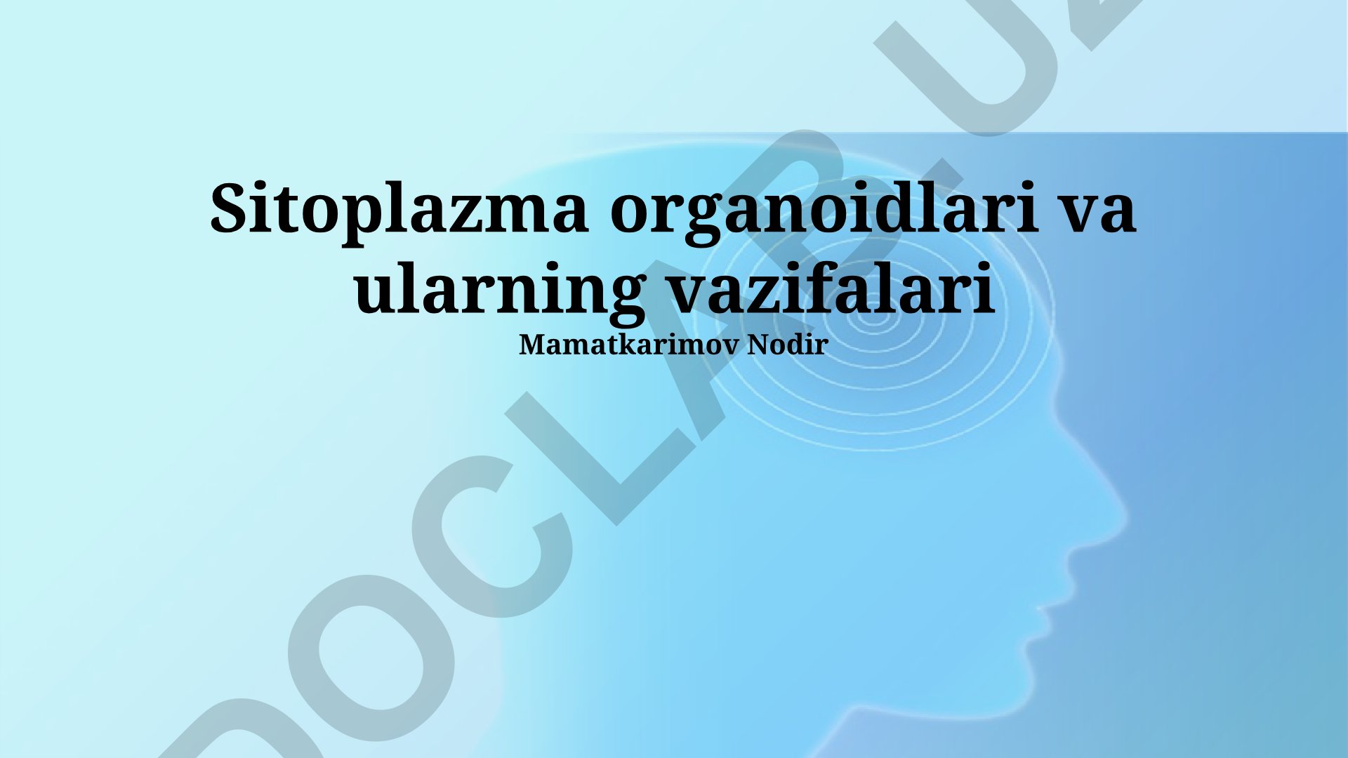 Sitoplazma organoidlari va ularning vazifalari