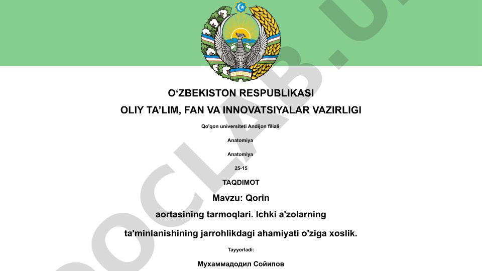 Qorin aortasining tarmoqlari va ichki a'zolarning ta'minlanishining jarrohlikdagi ahamiyati
