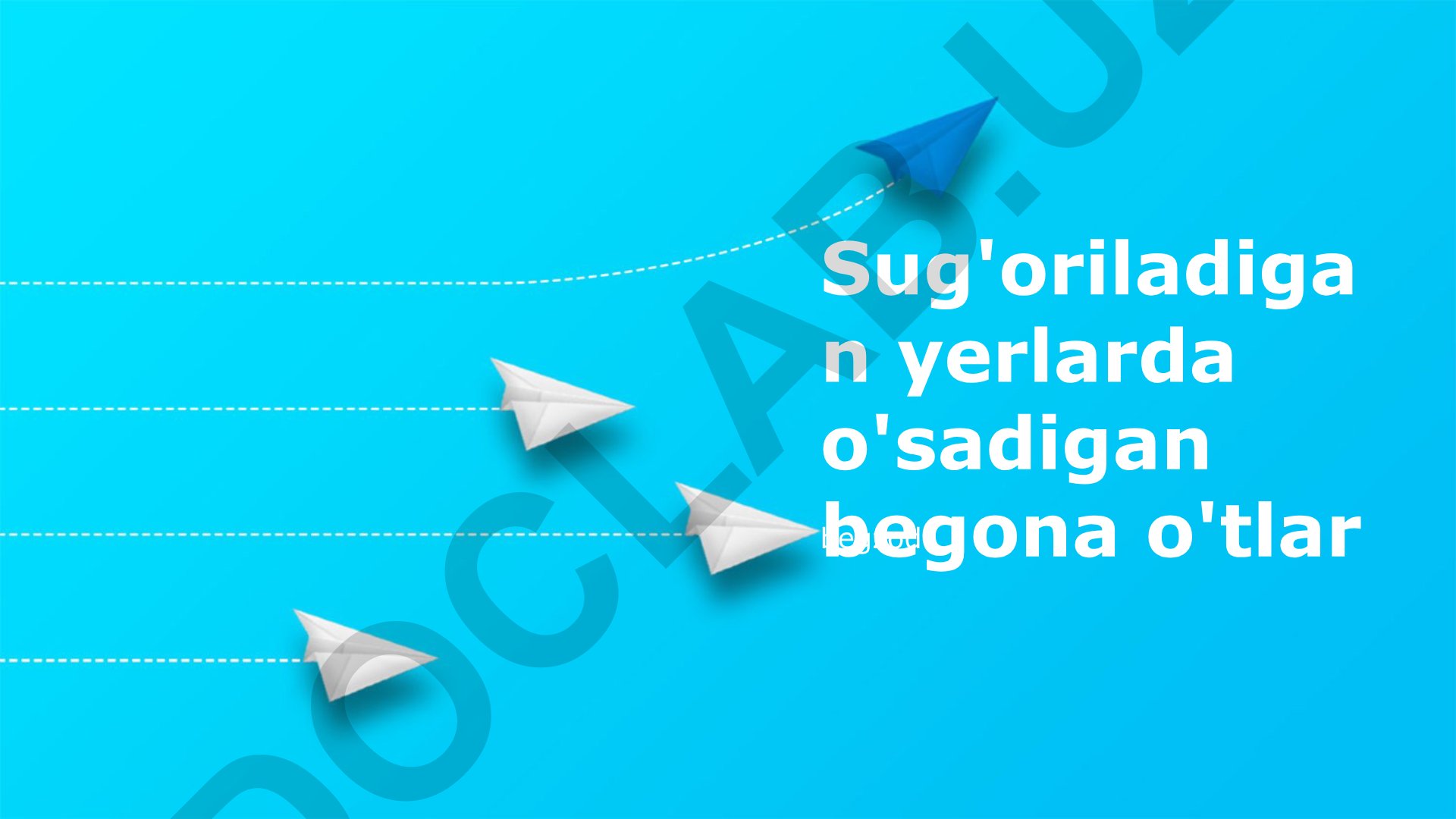 Sug'oriladigan yerlarda begona o'tlar va ular bilan kurashish
