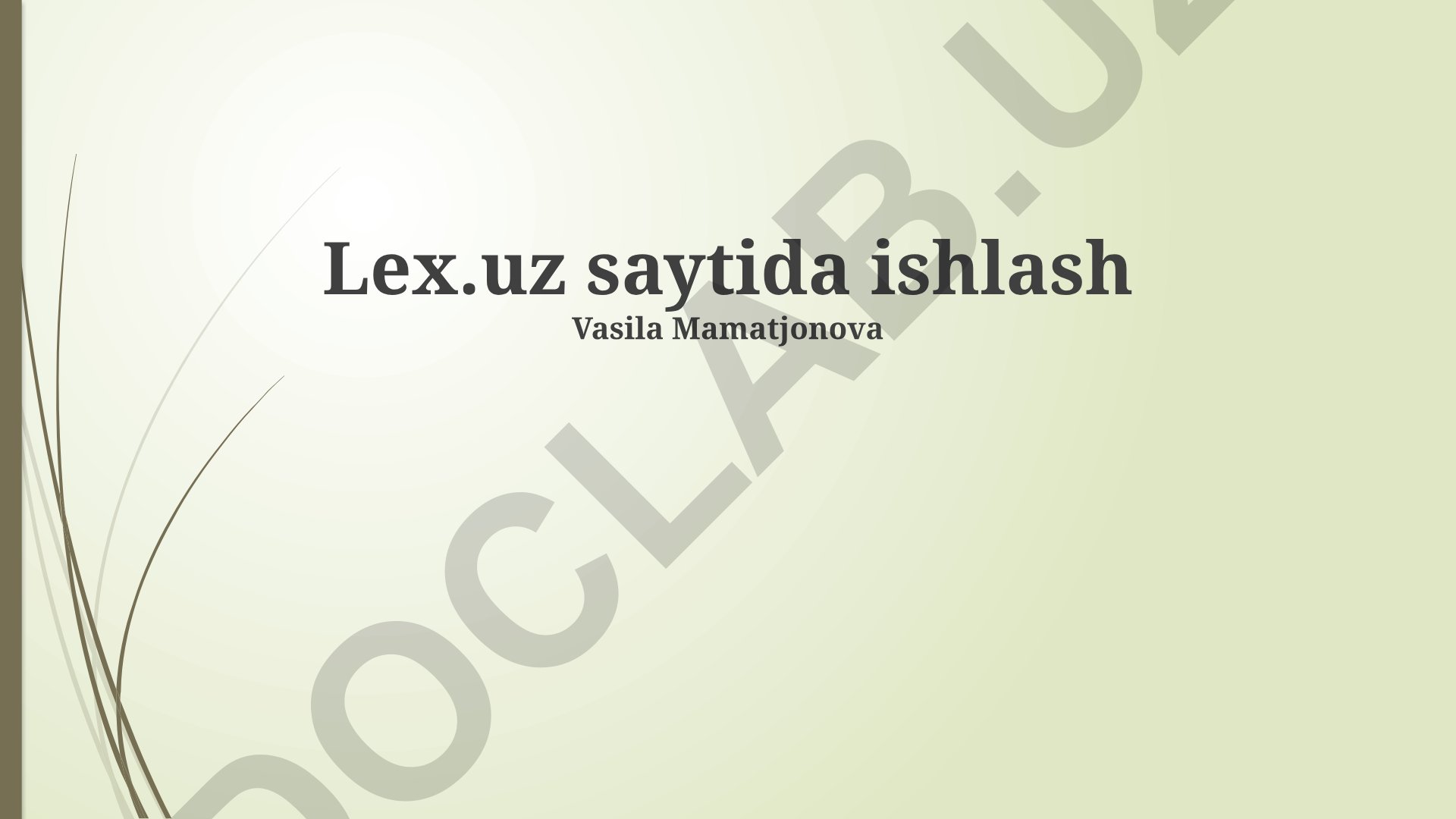 Lex.uz saytida ishlash jarayonlari va martaba o'sishi