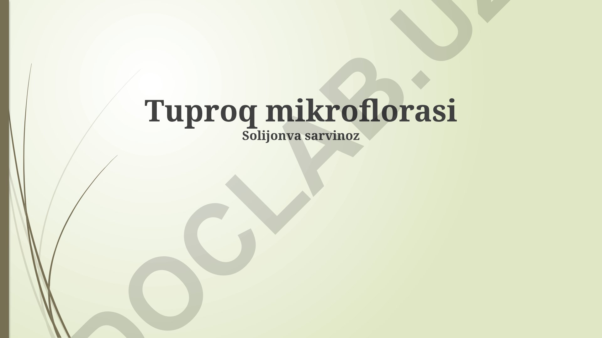 Tuproq mikroflorasi va uning o'simliklar bilan o'zaro ta'siri